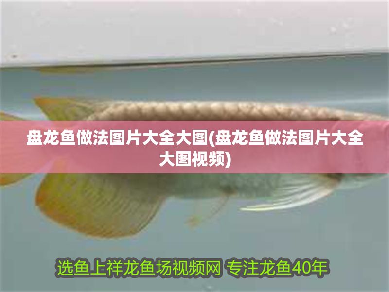 盤龍魚做法圖片大全大圖(盤龍魚做法圖片大全大圖視頻)