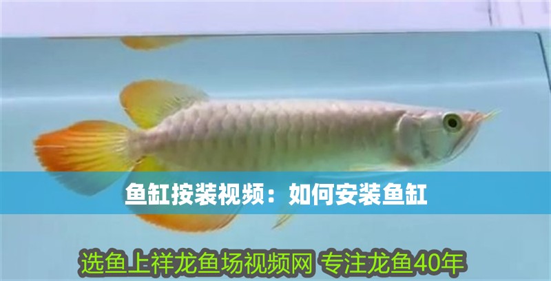 魚缸按裝視頻：如何安裝魚缸