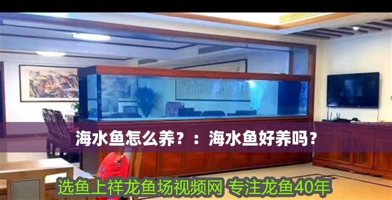 海水魚(yú)怎么養(yǎng)？：海水魚(yú)好養(yǎng)嗎？