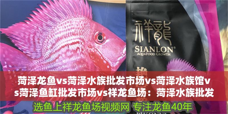菏澤龍魚vs菏澤水族批發市場vs菏澤水族館vs菏澤魚缸批發市場vs祥龍魚場：菏澤水族批發市場