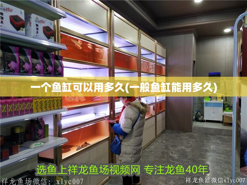 一個魚缸可以用多久(一般魚缸能用多久)
