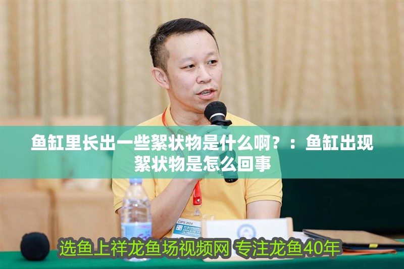 魚缸里長出一些絮狀物是什么啊？：魚缸出現(xiàn)絮狀物是怎么回事