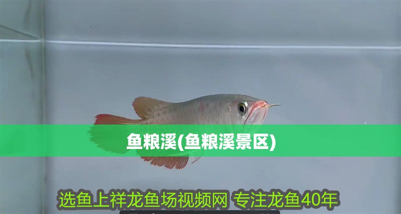 魚糧溪(魚糧溪景區)