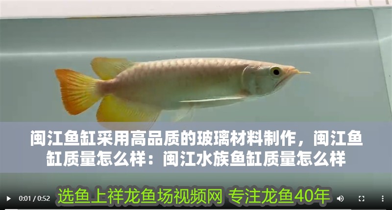 閩江魚缸采用高品質的玻璃材料制作，閩江魚缸質量怎么樣：閩江水族魚缸質量怎么樣