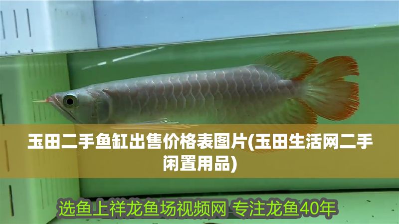 玉田二手魚缸出售價格表圖片(玉田生活網二手閑置用品)
