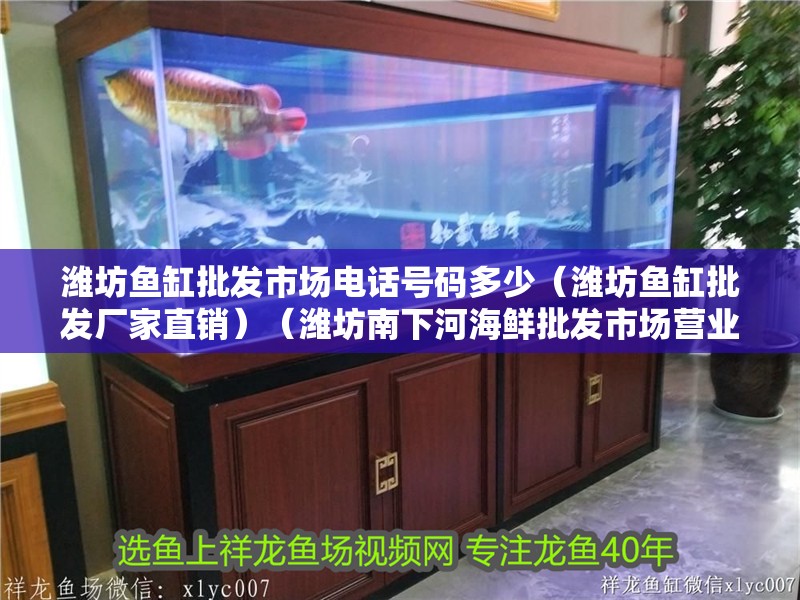 濰坊魚缸批發市場電話號碼多少（濰坊魚缸批發廠家直銷）（濰坊南下河海鮮批發市場營業時間是10點到19點）