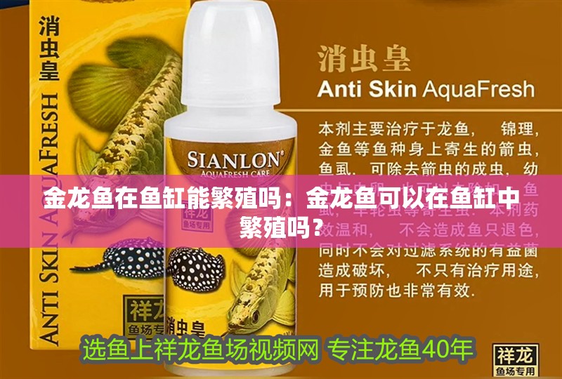金龍魚在魚缸能繁殖嗎：金龍魚可以在魚缸中繁殖嗎？ 金龍魚在魚缸能繁殖嗎：金龍魚可以在魚缸中繁殖嗎？ 龍魚百科