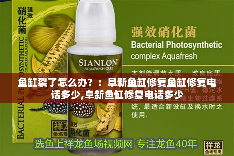 魚缸裂了怎么辦？：阜新魚缸修復魚缸修復電話多少,阜新魚缸修復電話多少