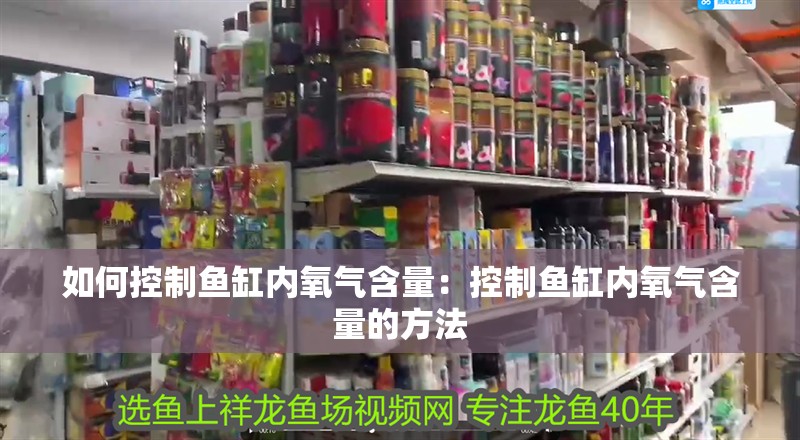 如何控制魚缸內(nèi)氧氣含量：控制魚缸內(nèi)氧氣含量的方法