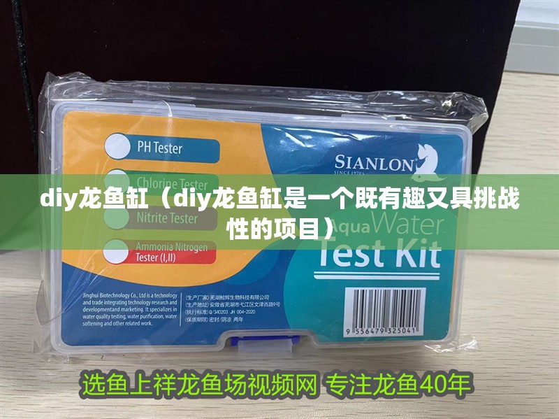 diy龍魚缸（diy龍魚缸是一個既有趣又具挑戰性的項目）