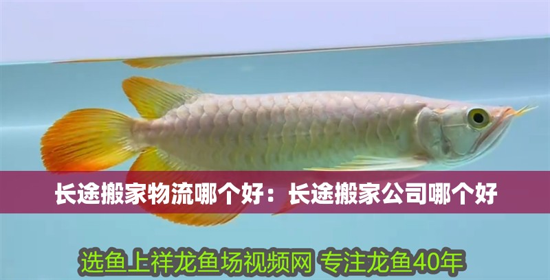 魚缸用增氧泵價格是多少:魚缸增氧機(jī)-xtrac增氧機(jī)-xtrac增氧機(jī) 長途搬家物流哪個好:長途搬家公司哪個好 魚缸百科 長途搬家物流哪個好:長途搬家公司哪個好 長途搬家物流哪個好:長途搬家公司哪個好 魚缸百科