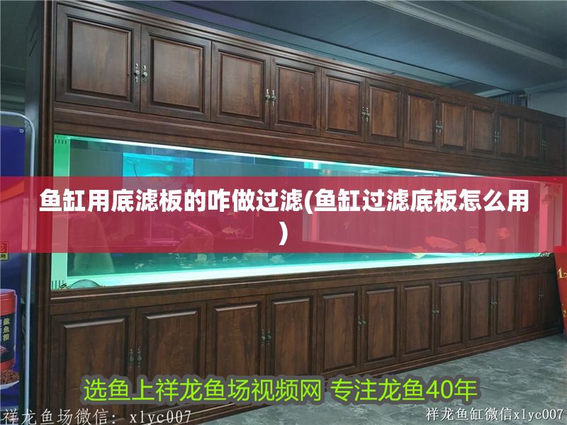 魚缸用底濾板的咋做過濾(魚缸過濾底板怎么用)