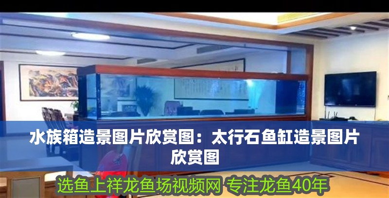 水族箱造景圖片欣賞圖：太行石魚缸造景圖片欣賞圖