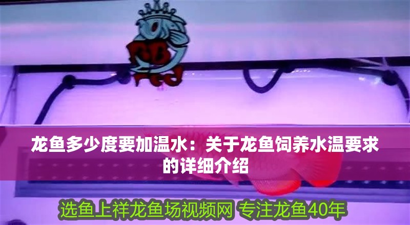 龍魚多少度要加溫水：關于龍魚飼養水溫要求的詳細介紹