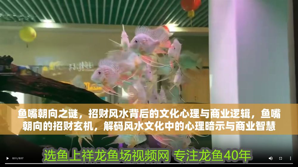 魚嘴朝向之謎，招財風水背后的文化心理與商業邏輯，魚嘴朝向的招財玄機，解碼風水文化中的心理暗示與商業智慧 魚嘴朝向之謎，招財風水背后的文化心理與商業邏輯，魚嘴朝向的招財玄機，解碼風水文化中的心理暗示與商業智慧 龍魚百科 第1張