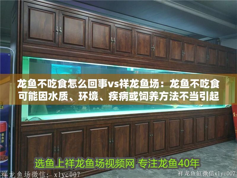 龍魚不吃食怎么回事vs祥龍魚場：龍魚不吃食可能因水質、環境、疾病或飼養方法不當引起