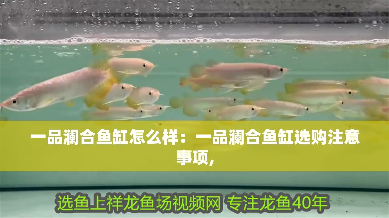 一品瀾合魚缸怎么樣：一品瀾合魚缸選購注意事項,