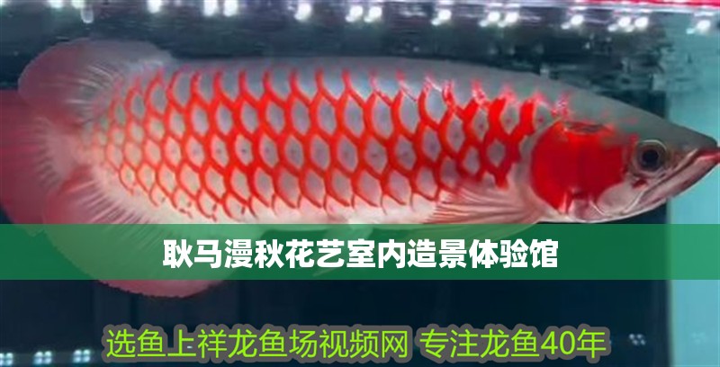 耿馬漫秋花藝室內造景體驗館 耿馬漫秋花藝室內造景體驗館 全國水族館企業名錄
