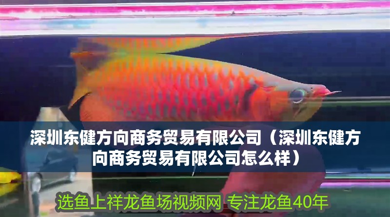 深圳東健方向商務貿易有限公司（深圳東健方向商務貿易有限公司怎么樣） 深圳東健方向商務貿易有限公司（深圳東健方向商務貿易有限公司怎么樣） 全國水族館企業名錄