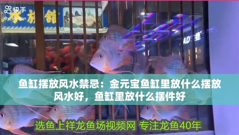 魚缸擺放風水禁忌：金元寶魚缸里放什么擺放風水好，魚缸里放什么擺件好