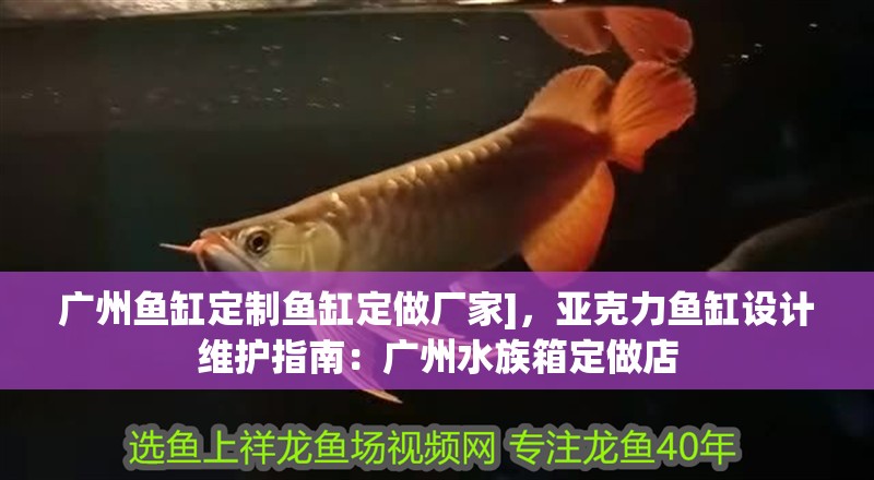 廣州魚缸定制魚缸定做廠家]，亞克力魚缸設計維護指南：廣州水族箱定做店 廣州魚缸定制魚缸定做廠家]，亞克力魚缸設計維護指南：廣州水族箱定做店 魚缸百科