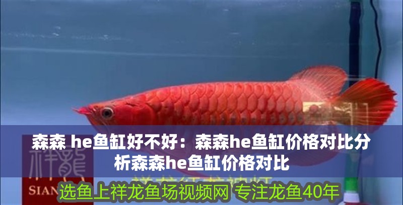 森森 he魚缸好不好：森森he魚缸價格對比分析森森he魚缸價格對比 森森 he魚缸好不好：森森he魚缸價格對比分析森森he魚缸價格對比 魚缸百科