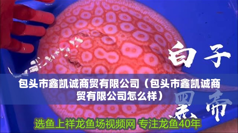 包頭市鑫凱誠商貿有限公司（包頭市鑫凱誠商貿有限公司怎么樣）