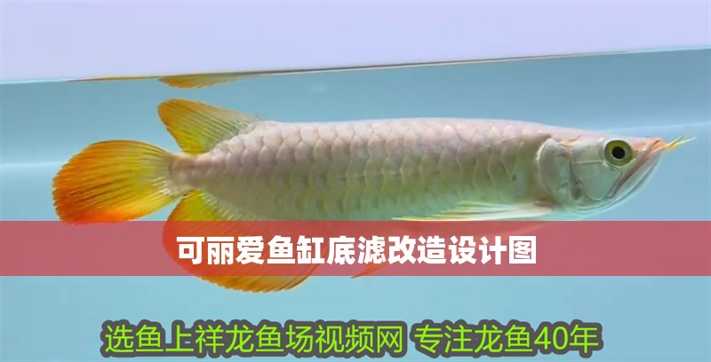 可麗愛魚缸底濾改造設計圖