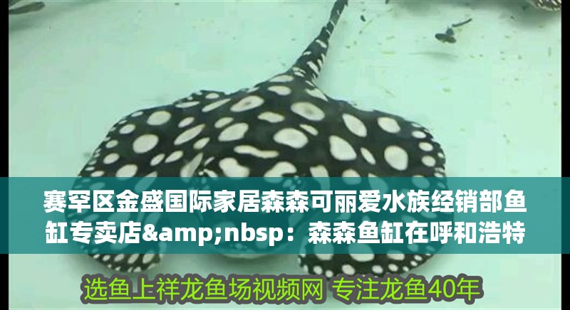 魚(yú)缸過(guò)濾器選購(gòu)指南:自制魚(yú)缸過(guò)濾器魚(yú)缸上置過(guò)濾器對(duì)于養(yǎng)魚(yú)愛(ài)好者的必備知識(shí) 賽罕區(qū)金盛國(guó)際家居森森可麗愛(ài)水族經(jīng)銷(xiāo)部魚(yú)缸專(zhuān)賣(mài)店 :森森魚(yú)缸在呼和浩特市有多家專(zhuān)賣(mài)店 魚(yú)缸百科 賽罕區(qū)金盛國(guó)際家居森森可麗愛(ài)水族經(jīng)銷(xiāo)部魚(yú)缸專(zhuān)賣(mài)店 :森森魚(yú)缸在呼和浩特市有多家專(zhuān)賣(mài)店 賽罕區(qū)金盛國(guó)際家居森森可麗愛(ài)水族經(jīng)銷(xiāo)部魚(yú)缸專(zhuān)賣(mài)店 :森森魚(yú)缸在呼和浩特市有多家專(zhuān)賣(mài)店 魚(yú)缸百科