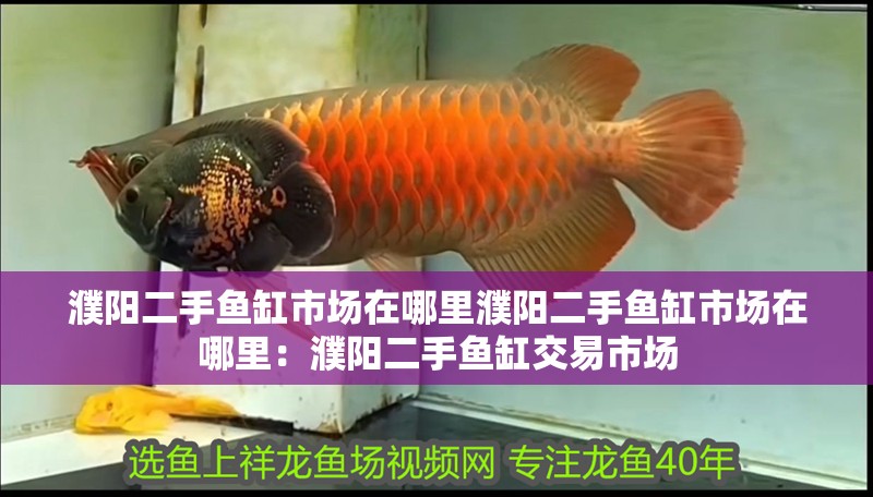 濮陽二手魚缸市場在哪里濮陽二手魚缸市場在哪里：濮陽二手魚缸交易市場