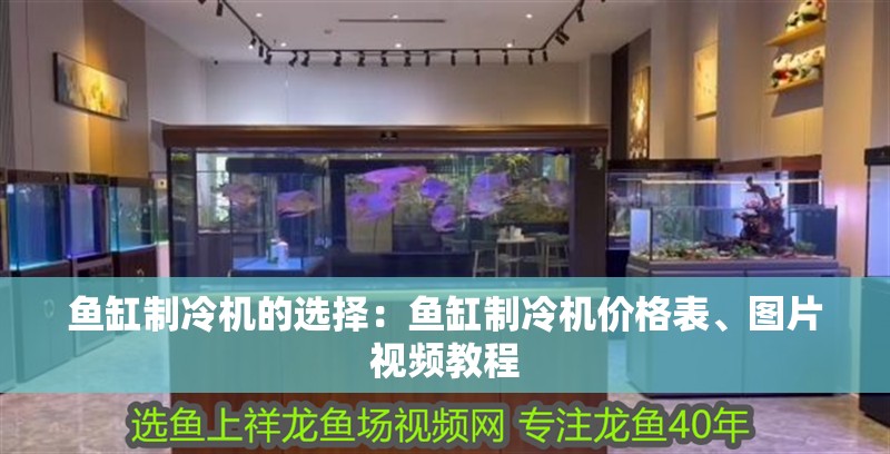 魚缸用增氧泵價(jià)格是多少:魚缸增氧機(jī)-xtrac增氧機(jī)-xtrac增氧機(jī) 魚缸制冷機(jī)的選擇:魚缸制冷機(jī)價(jià)格表、圖片視頻教程 魚缸百科 魚缸制冷機(jī)的選擇:魚缸制冷機(jī)價(jià)格表、圖片視頻教程 魚缸制冷機(jī)的選擇:魚缸制冷機(jī)價(jià)格表、圖片視頻教程 魚缸百科