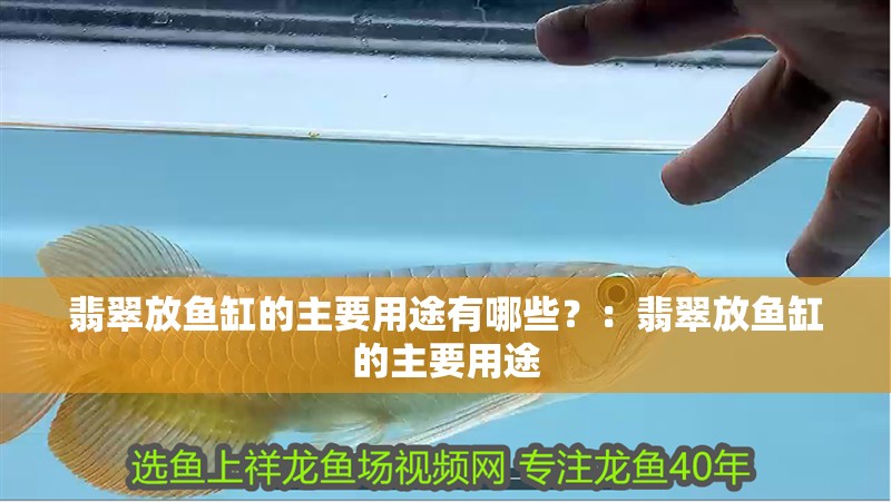 翡翠放魚缸的主要用途有哪些？：翡翠放魚缸的主要用途