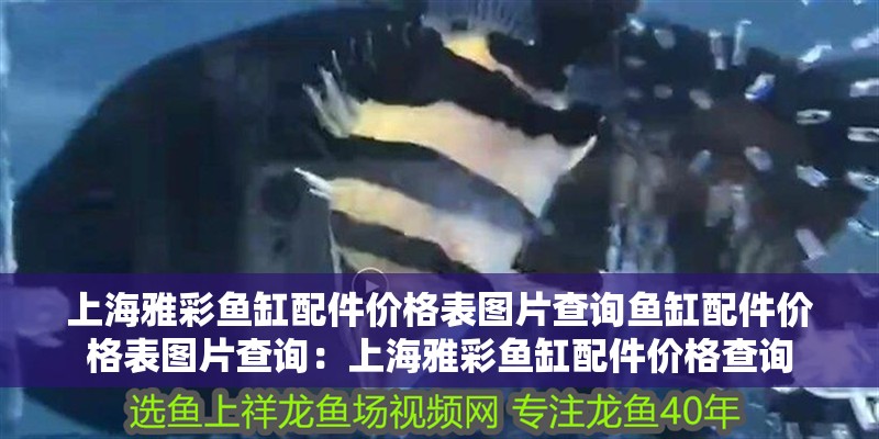 上海雅彩魚缸配件價格表圖片查詢魚缸配件價格表圖片查詢：上海雅彩魚缸配件價格查詢 上海雅彩魚缸配件價格表圖片查詢魚缸配件價格表圖片查詢：上海雅彩魚缸配件價格查詢 魚缸百科