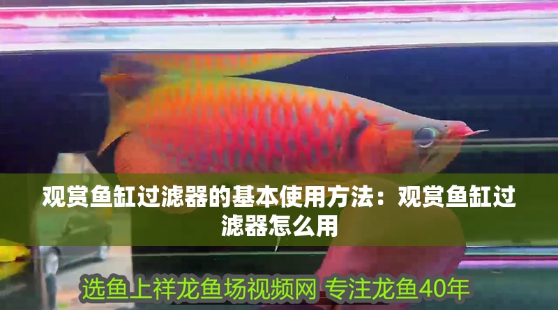 觀賞魚缸過濾器的基本使用方法：觀賞魚缸過濾器怎么用
