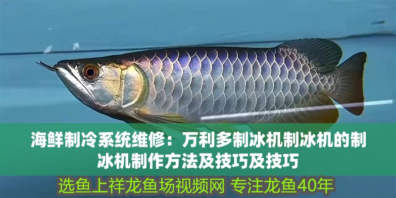 海鮮制冷系統維修：萬利多制冰機制冰機的制冰機制作方法及技巧及技巧