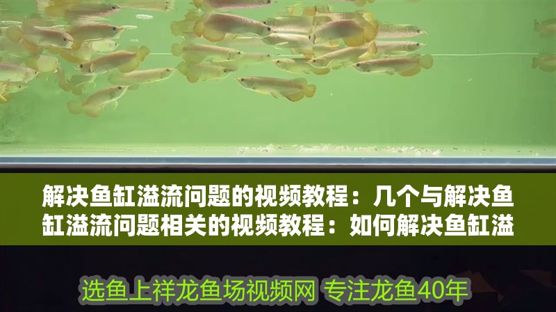解決魚缸溢流問題的視頻教程：幾個與解決魚缸溢流問題相關的視頻教程：如何解決魚缸溢流問題
