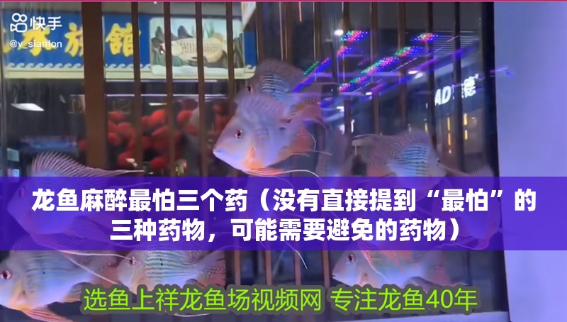 龍魚麻醉最怕三個(gè)藥（沒有直接提到“最怕”的三種藥物，可能需要避免的藥物）
