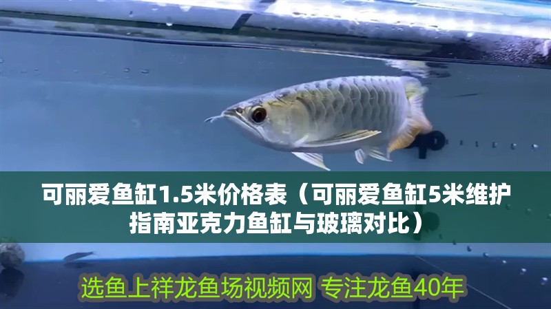 魚缸用增氧泵價格是多少:魚缸增氧機-xtrac增氧機-xtrac增氧機 可麗愛魚缸1.5米價格表(可麗愛魚缸5米維護指南亞克力魚缸與玻璃對比) 龍魚百科 可麗愛魚缸1.5米價格表(可麗愛魚缸5米維護指南亞克力魚缸與玻璃對比) 可麗愛魚缸1.5米價格表(可麗愛魚缸5米維護指南亞克力魚缸與玻璃對比) 龍魚百科