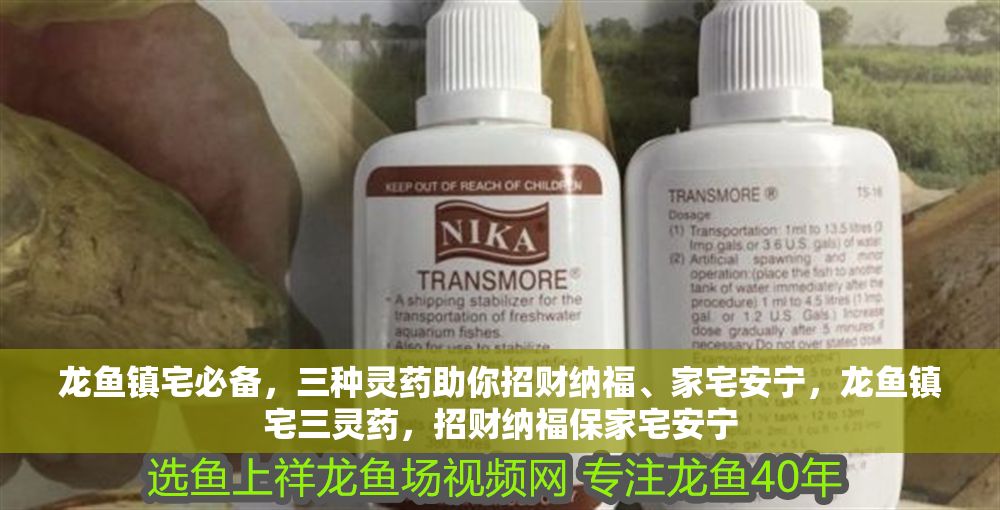 龍魚鎮宅必備，三種靈藥助你招財納福、家宅安寧，龍魚鎮宅三靈藥，招財納福保家宅安寧