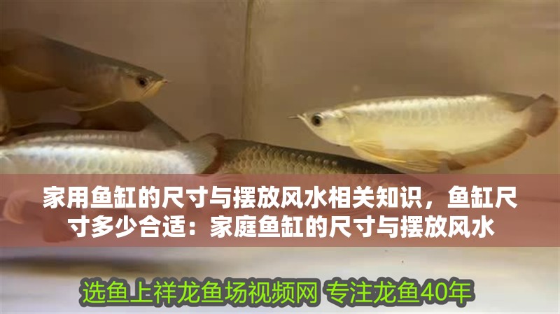 家用魚缸的尺寸與擺放風(fēng)水相關(guān)知識(shí)，魚缸尺寸多少合適：家庭魚缸的尺寸與擺放風(fēng)水
