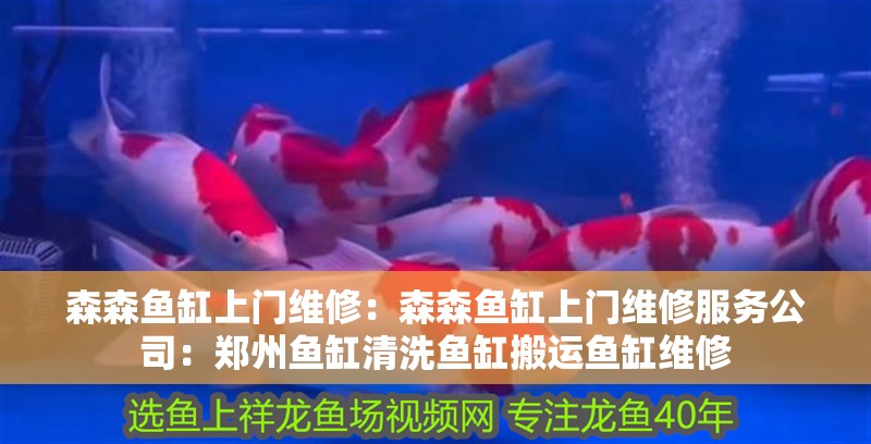 森森魚缸上門維修：森森魚缸上門維修服務公司：鄭州魚缸清洗魚缸搬運魚缸維修