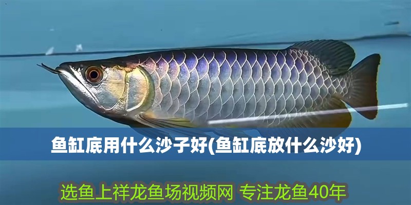 魚缸底用什么沙子好(魚缸底放什么沙好)