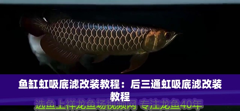 魚(yú)缸虹吸底濾改裝教程：后三通虹吸底濾改裝教程