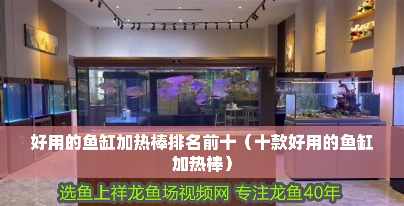 好用的魚缸加熱棒排名前十（十款好用的魚缸加熱棒） 好用的魚缸加熱棒排名前十（十款好用的魚缸加熱棒） 魚缸百科
