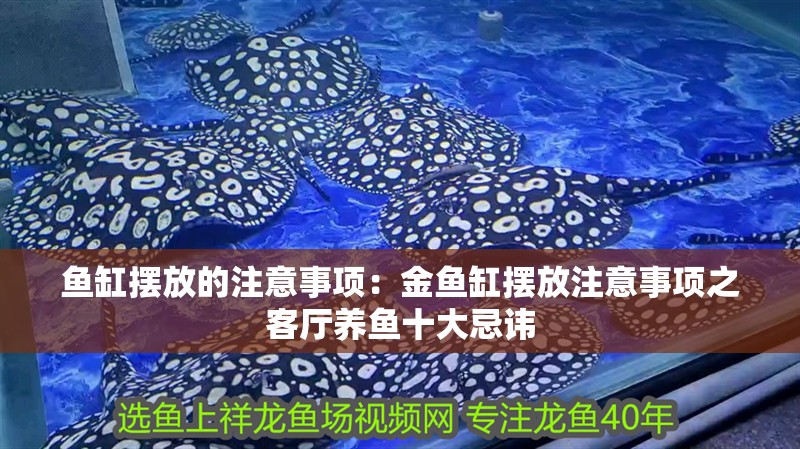 魚缸擺放的注意事項：金魚缸擺放注意事項之客廳養魚十大忌諱
