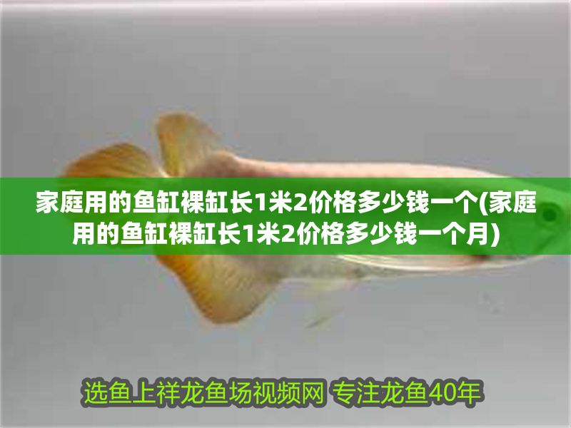 家庭用的魚缸裸缸長1米2價格多少錢一個(家庭用的魚缸裸缸長1米2價格多少錢一個月)