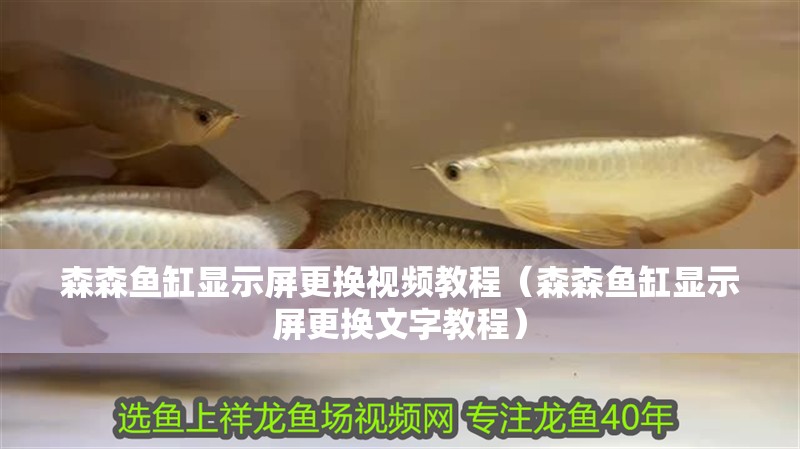 森森魚缸顯示屏更換視頻教程（森森魚缸顯示屏更換文字教程）