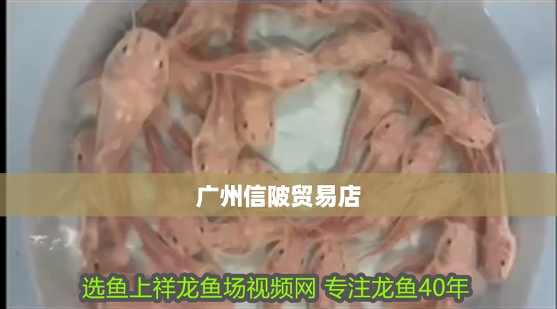 廣州信陂貿易店 廣州信陂貿易店 全國水族館企業名錄