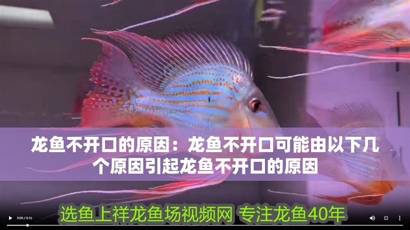 魚缸用增氧泵價(jià)格是多少:魚缸增氧機(jī)-xtrac增氧機(jī)-xtrac增氧機(jī) 龍魚不開口的原因:龍魚不開口可能由以下幾個(gè)原因引起龍魚不開口的原因 龍魚百科 龍魚不開口的原因:龍魚不開口可能由以下幾個(gè)原因引起龍魚不開口的原因 龍魚不開口的原因:龍魚不開口可能由以下幾個(gè)原因引起龍魚不開口的原因 龍魚百科