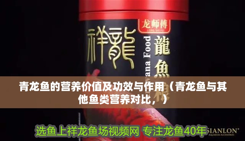 青龍魚的營(yíng)養(yǎng)價(jià)值及功效與作用（青龍魚與其他魚類營(yíng)養(yǎng)對(duì)比，）